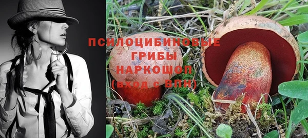 эйфоретик Михайловск