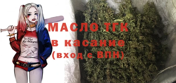 индика Михайлов
