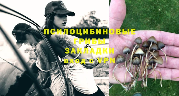 кокс Алексеевка