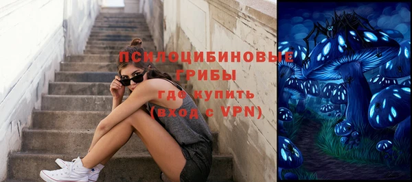 кокс Алзамай