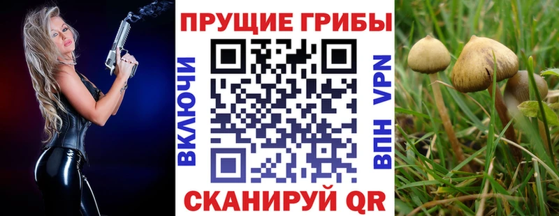 Псилоцибиновые грибы мухоморы Оса